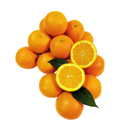 Fresh Orange Pack - 18 Pieces