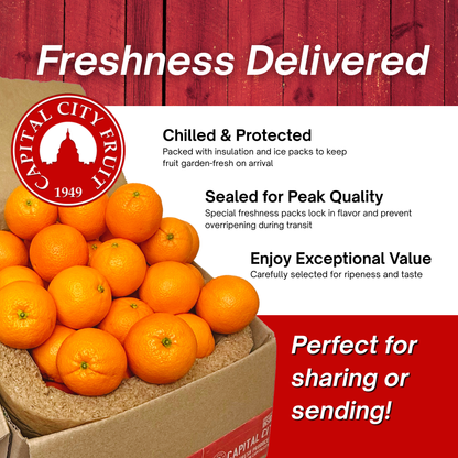 Fresh Orange Pack - 18 Pieces