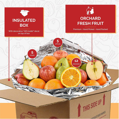 Mixed Fruit Sampler Box - 22 Pieces